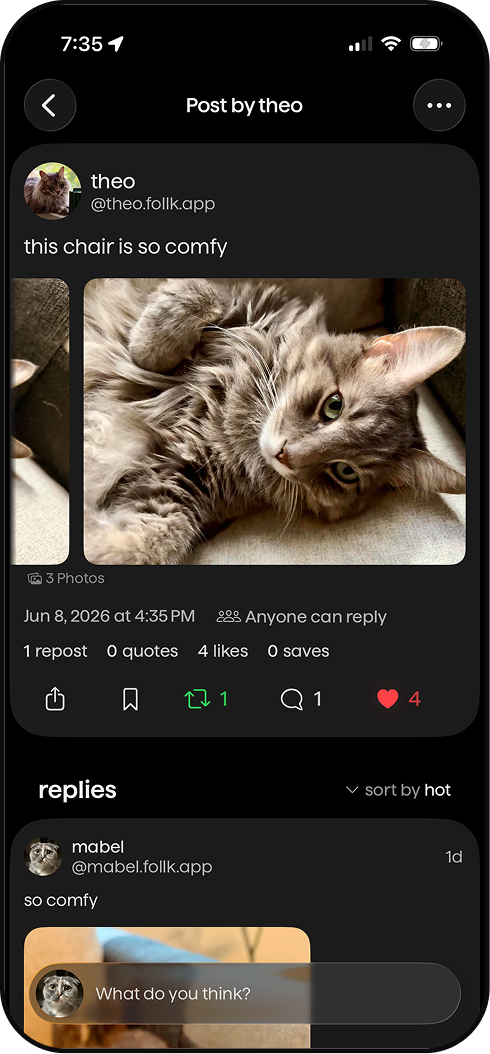 A Bluesky post shown through Follk's account connection.
